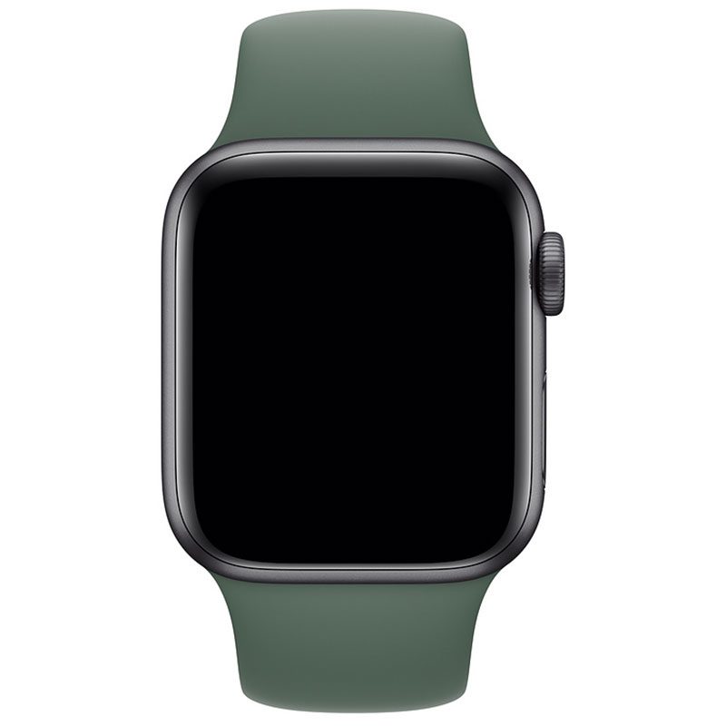 Silicone Szíj Apple Watch 41/40/38mm Pine Zöld Large