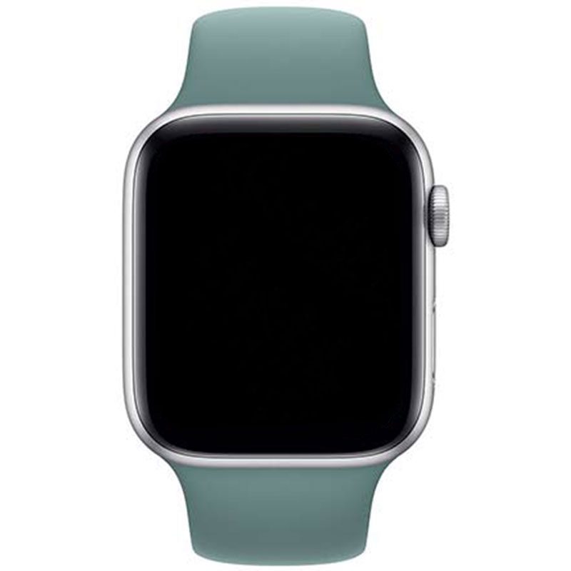 Silicone Szíj Apple Watch 45/44/42/Ultra Cactus Small