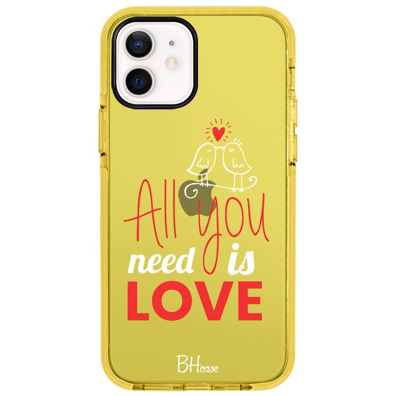 All You Need Is Love iPhone 12/12 Pro Tok