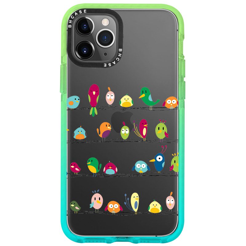 Birds iPhone 11 Pro Tok